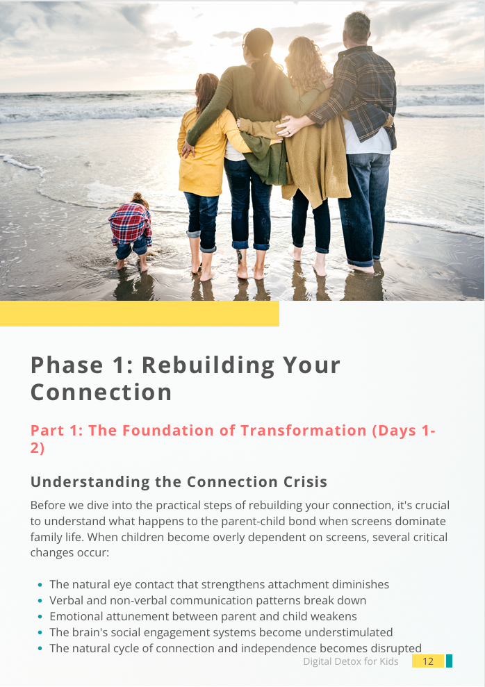 Phase 1: Rebuilding Your Connection